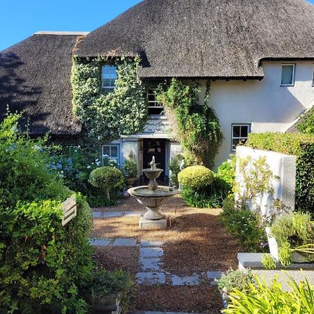 In The Vine Country Manor Guesthouse Stellenbosch Buitenkant foto