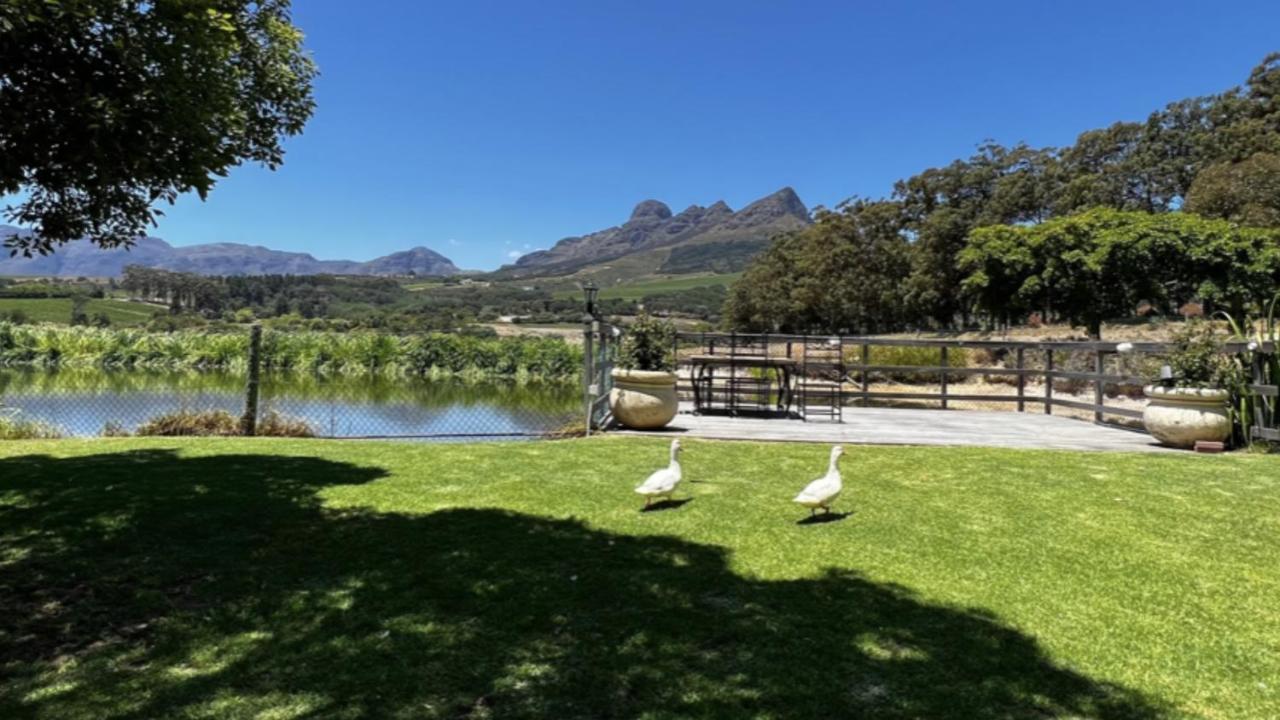 In The Vine Country Manor Guesthouse Stellenbosch Buitenkant foto