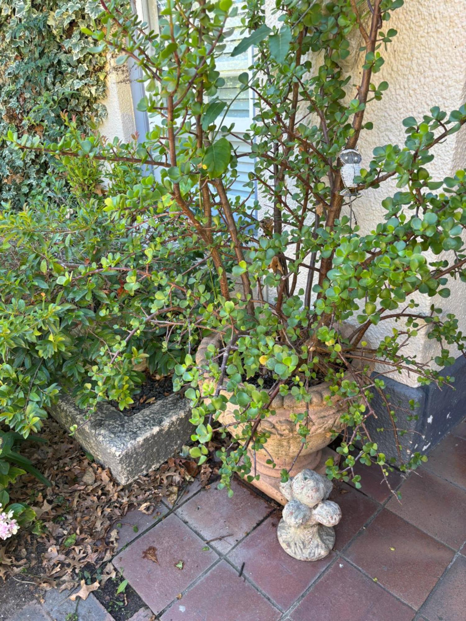 In The Vine Country Manor Guesthouse Stellenbosch Buitenkant foto