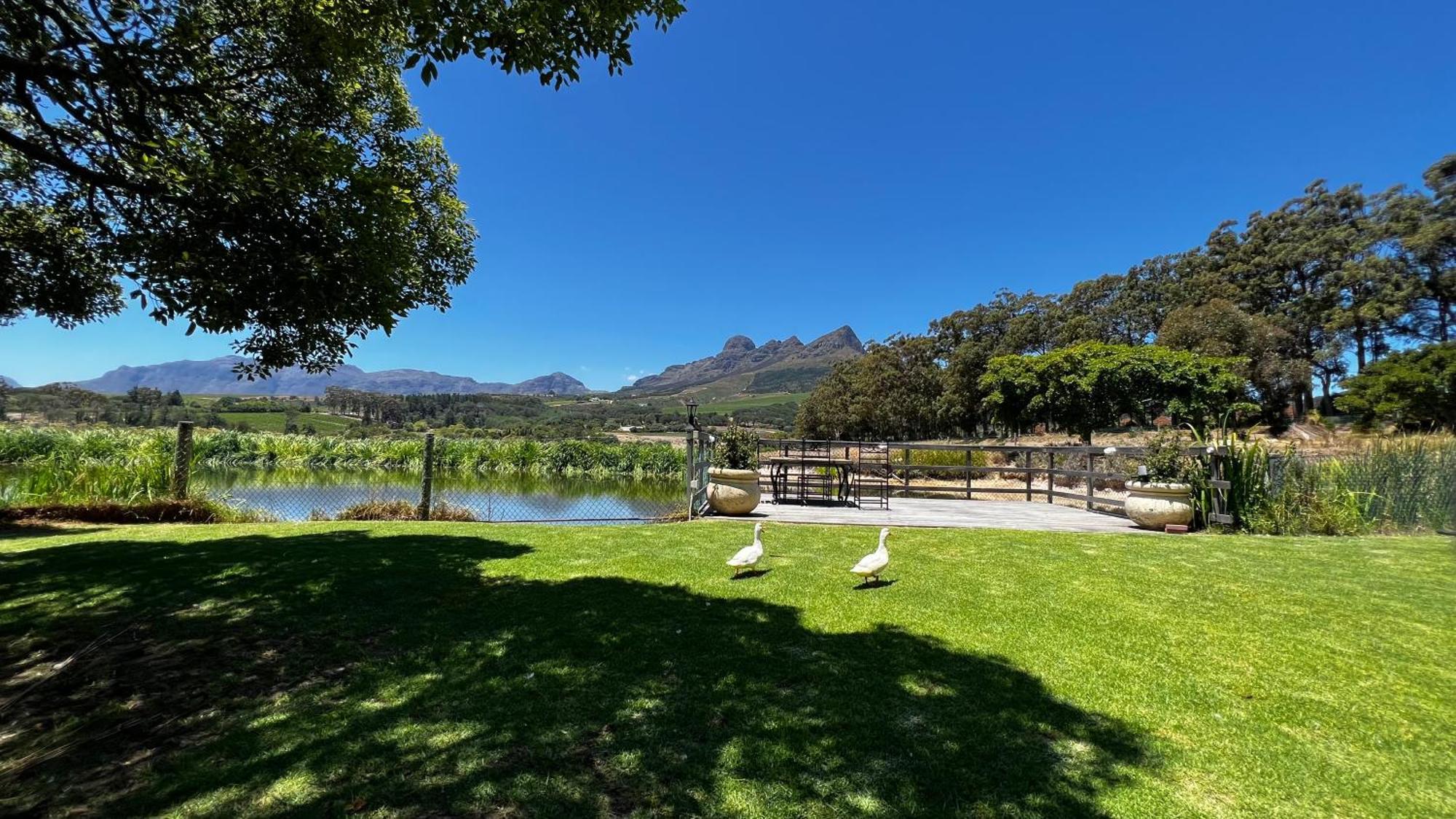 In The Vine Country Manor Guesthouse Stellenbosch Buitenkant foto