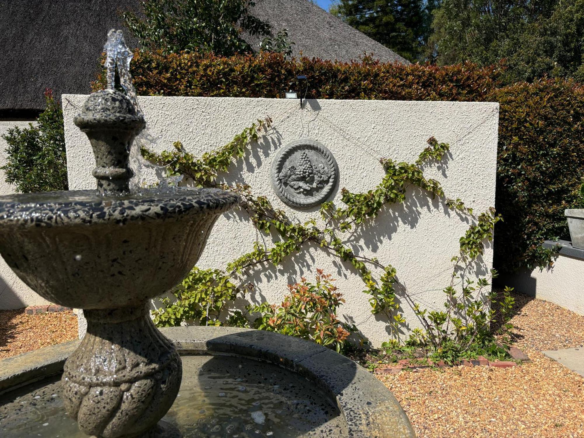 In The Vine Country Manor Guesthouse Stellenbosch Buitenkant foto